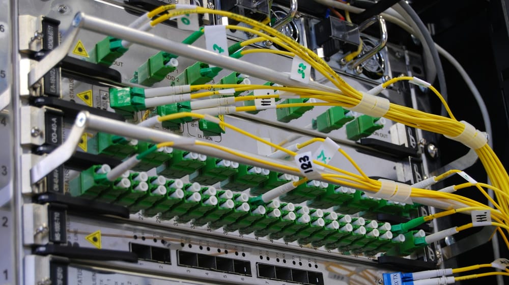 Fibre-optic cables plugged into a network switch that delivers cached website files