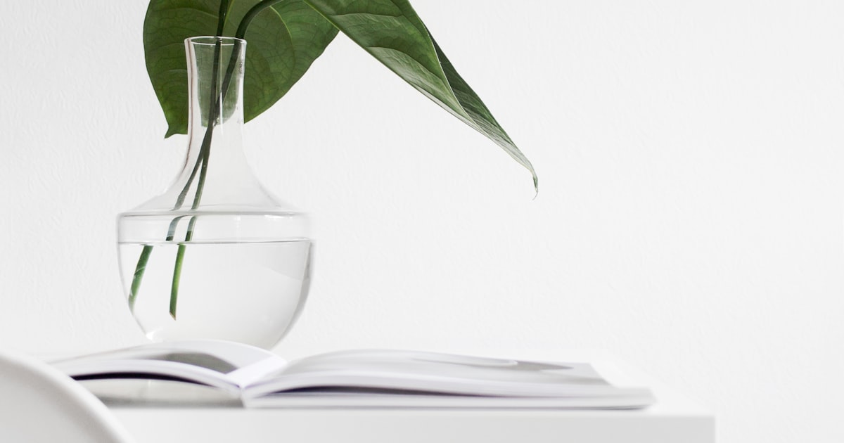 Why White Space Makes a Website Feel Expensive
